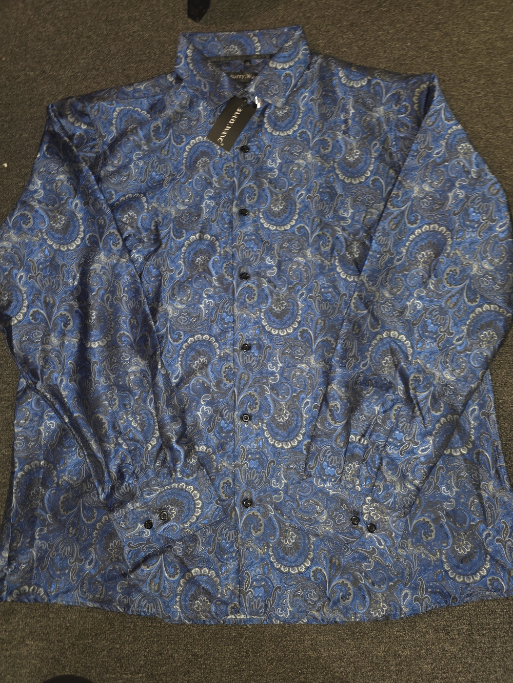 NWT Barry Wang Blue Paisley Button-Up Shirt